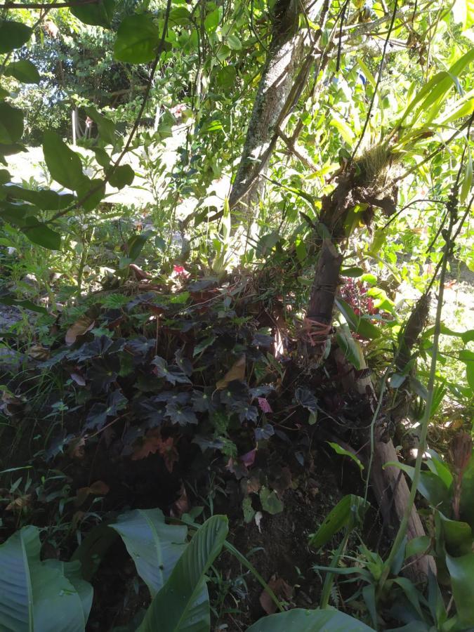 Eco Aldea Topacio Sasaima Buitenkant foto