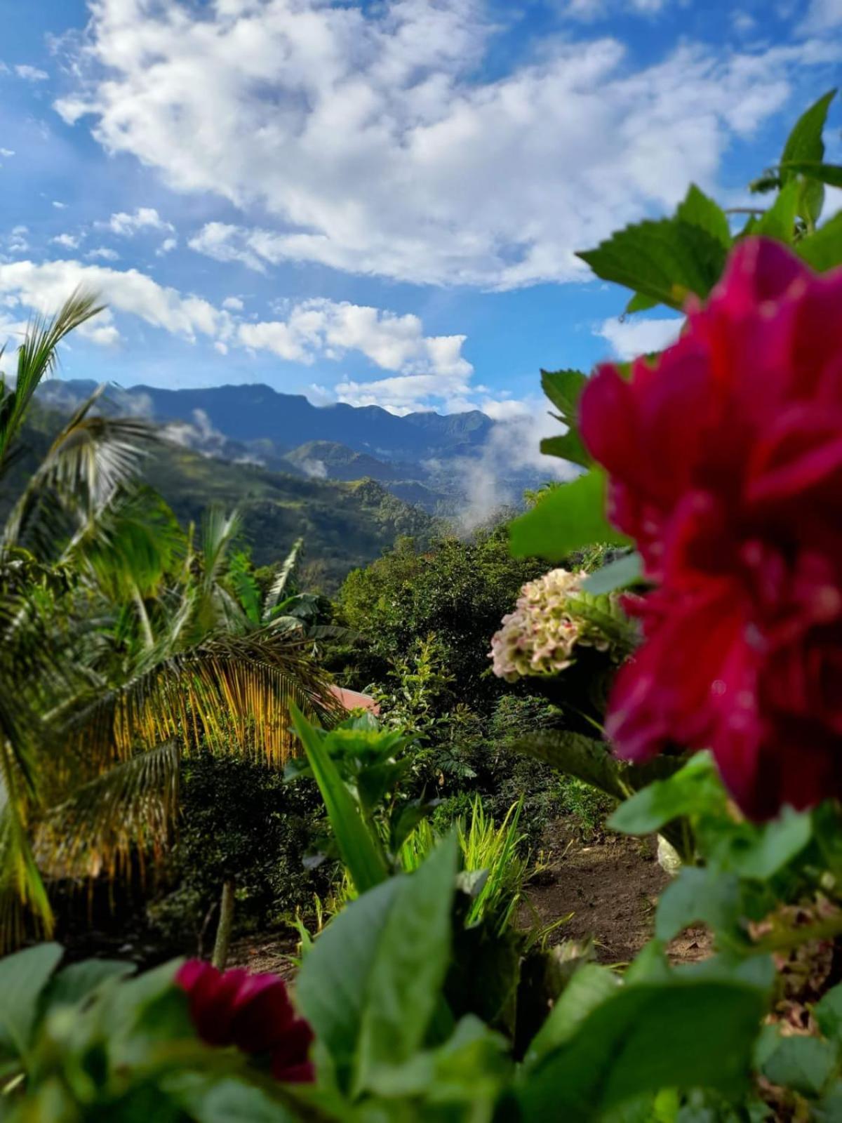 Eco Aldea Topacio Sasaima Buitenkant foto